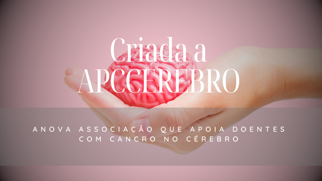 Criada a APCCEREBRO: A nova associação apoia doentes com cancro no cérebro
